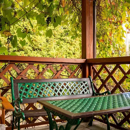Jurajski Chill Z Widokiem Na Zamek I Strefa Relaksu Σπίτι διακοπών *